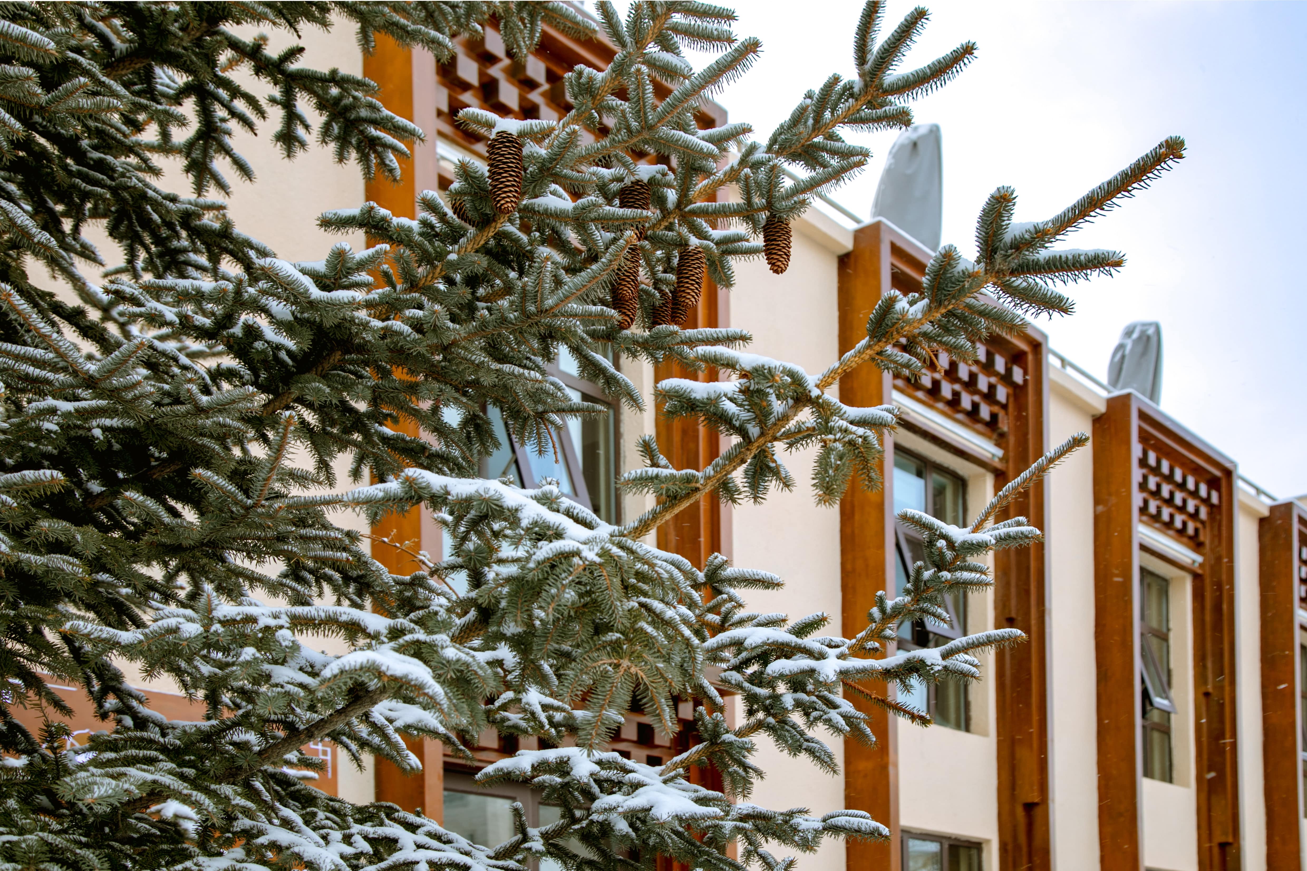 设计案例_喀拉卡尔藏族美食文化中心