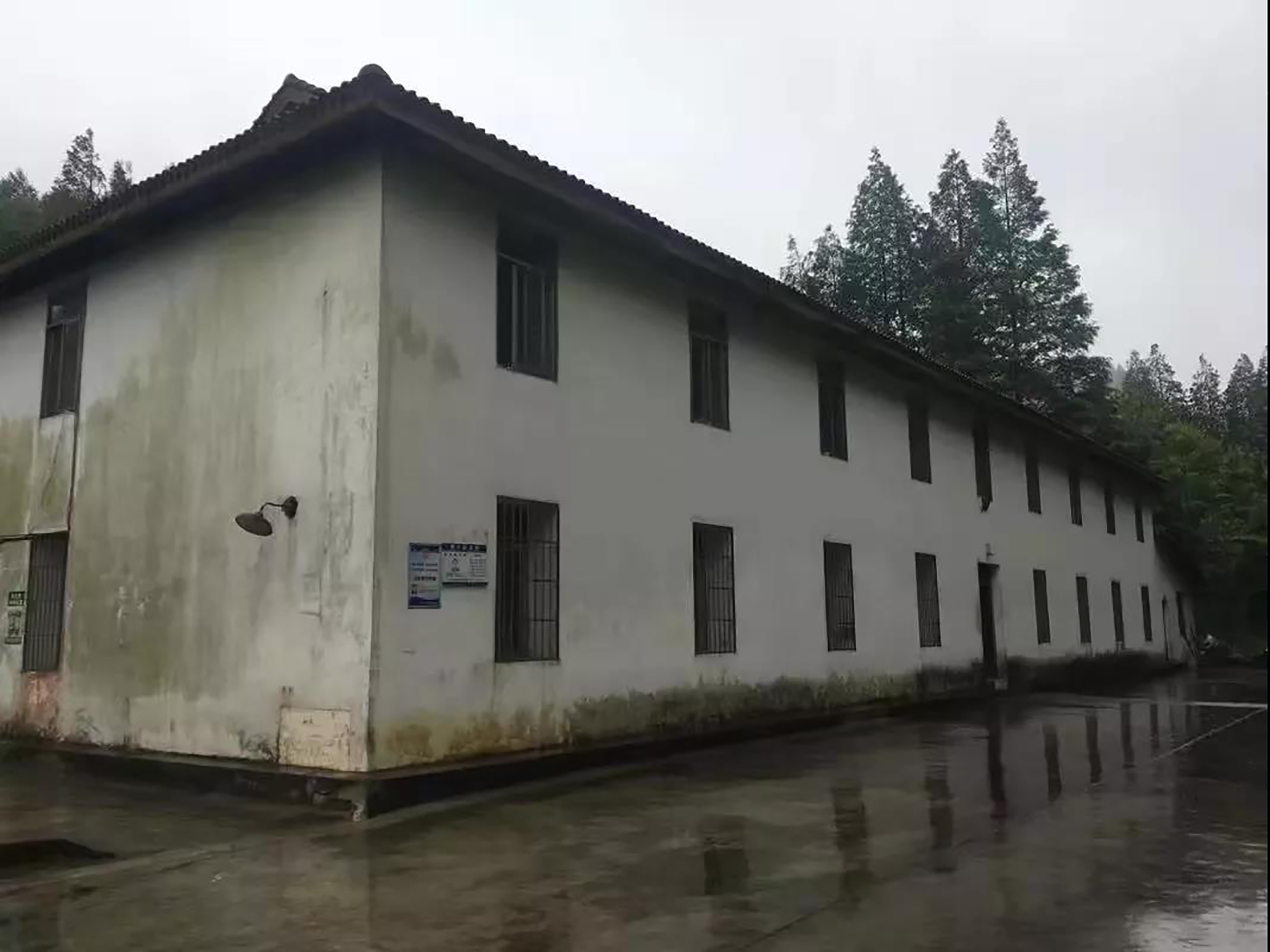 设计案例_金佛山山王坪·杉语民宿 森呼吸 聆听杉语