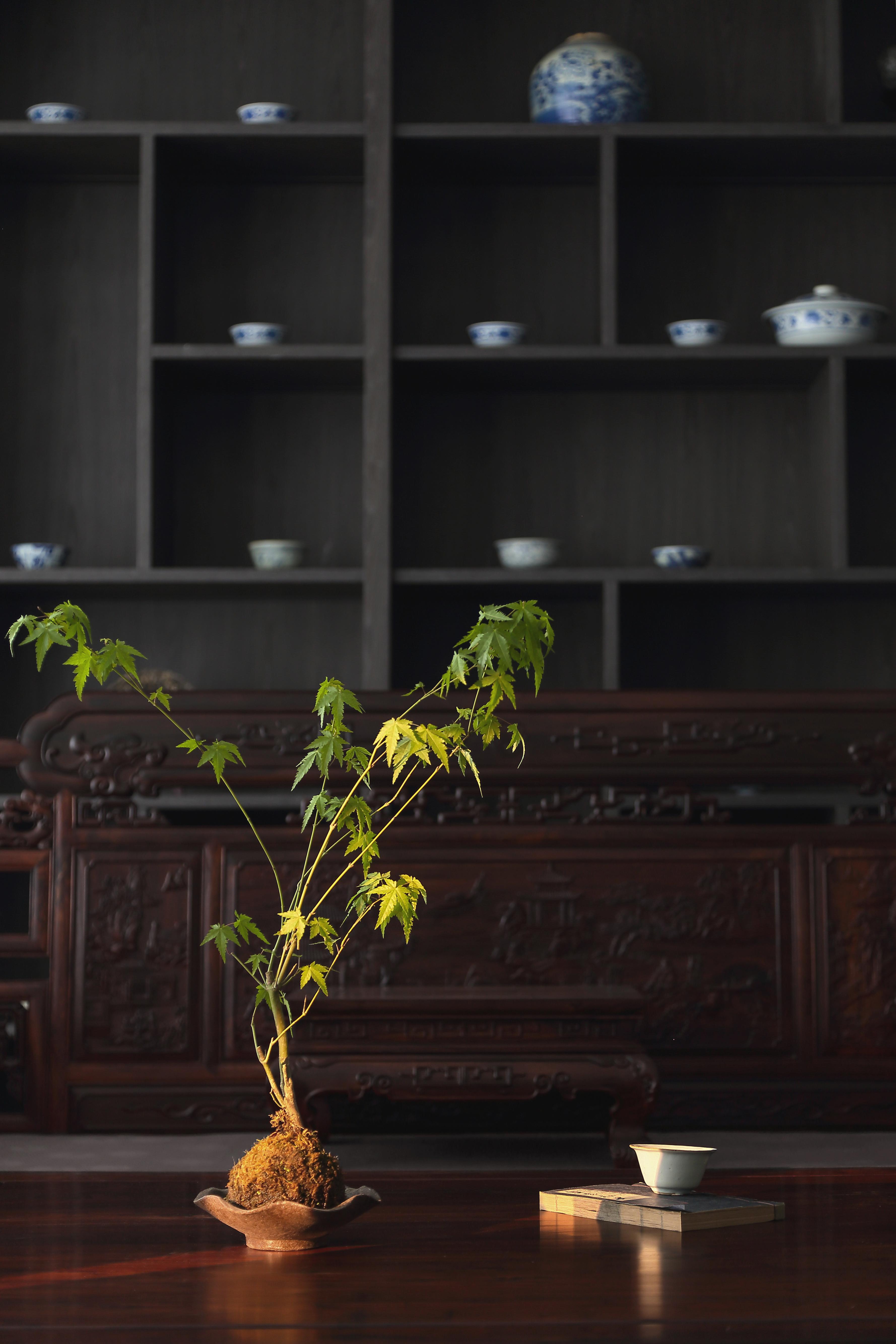 设计案例_“诗栖江山”办公空间的文人意趣