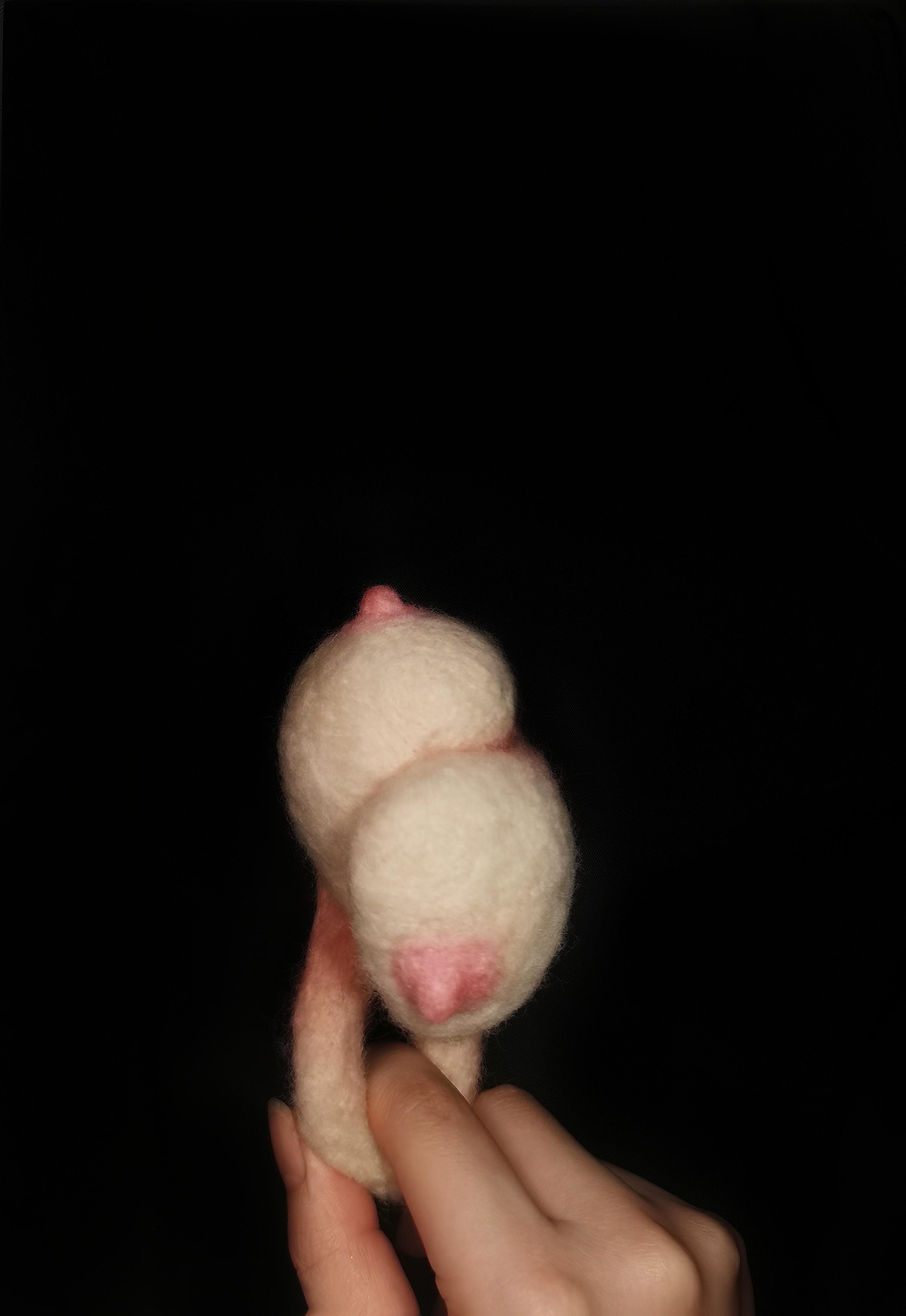 设计案例_《chest》