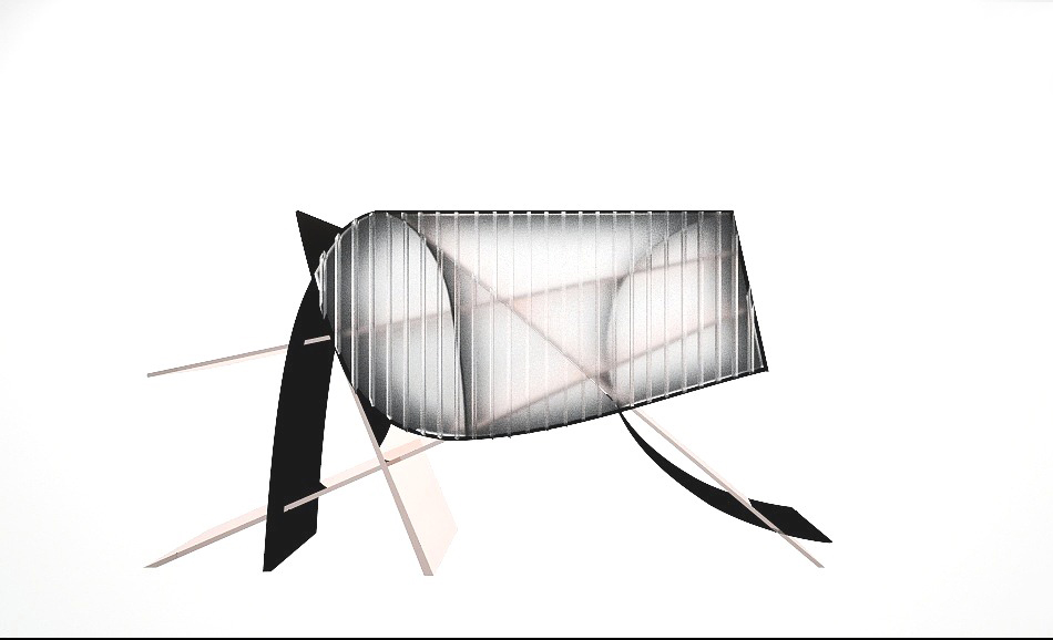 设计案例_理性与野性