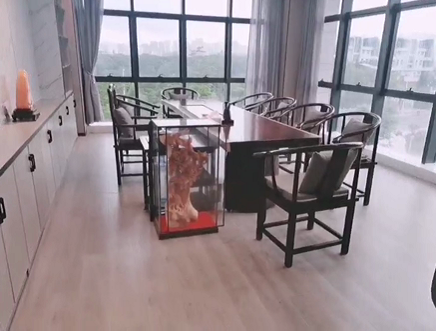 设计案例_首席女人网络科技公司