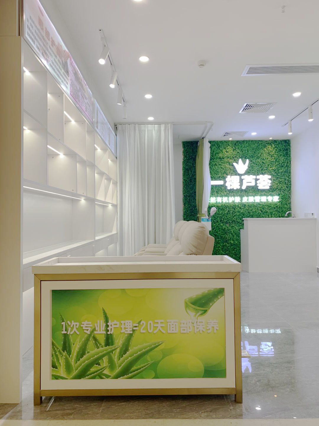 设计案例_一颗芦荟