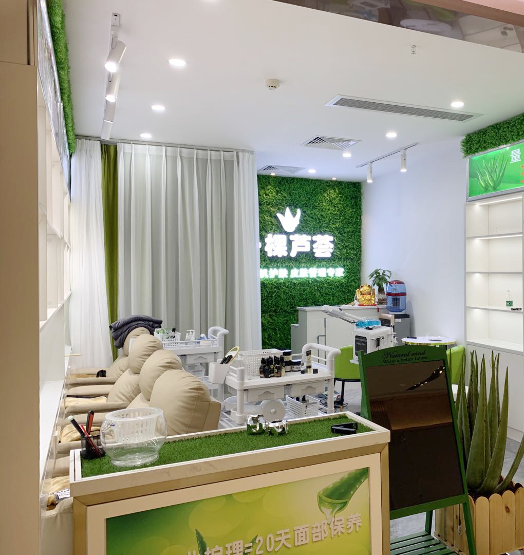 设计案例_一颗芦荟