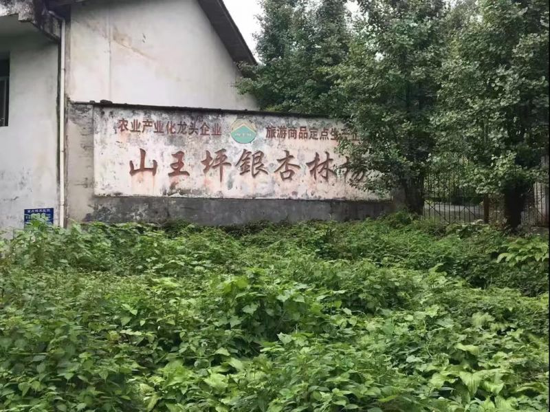 暂时无法加载